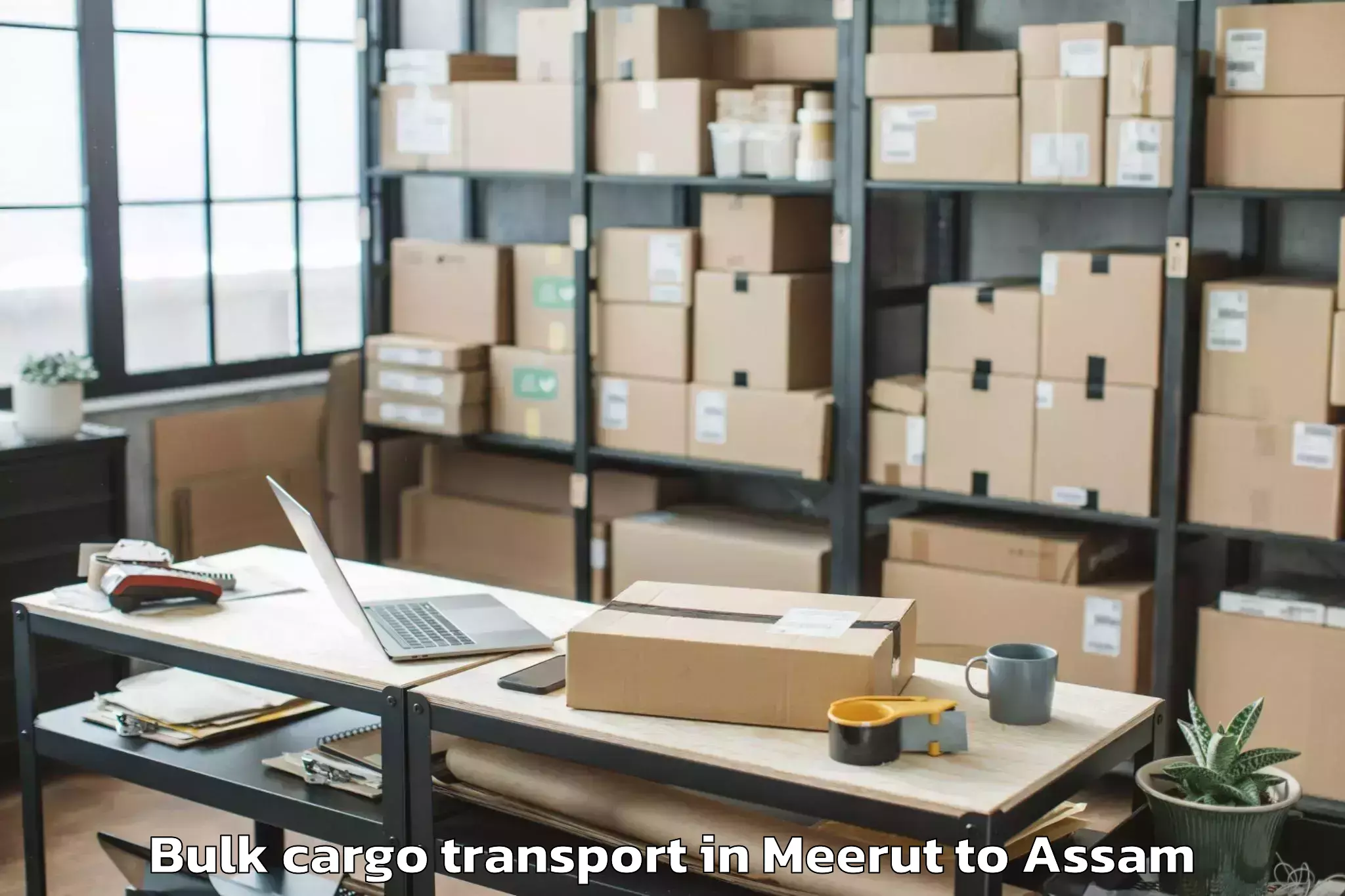 Easy Meerut to Bajali Bulk Cargo Transport Booking